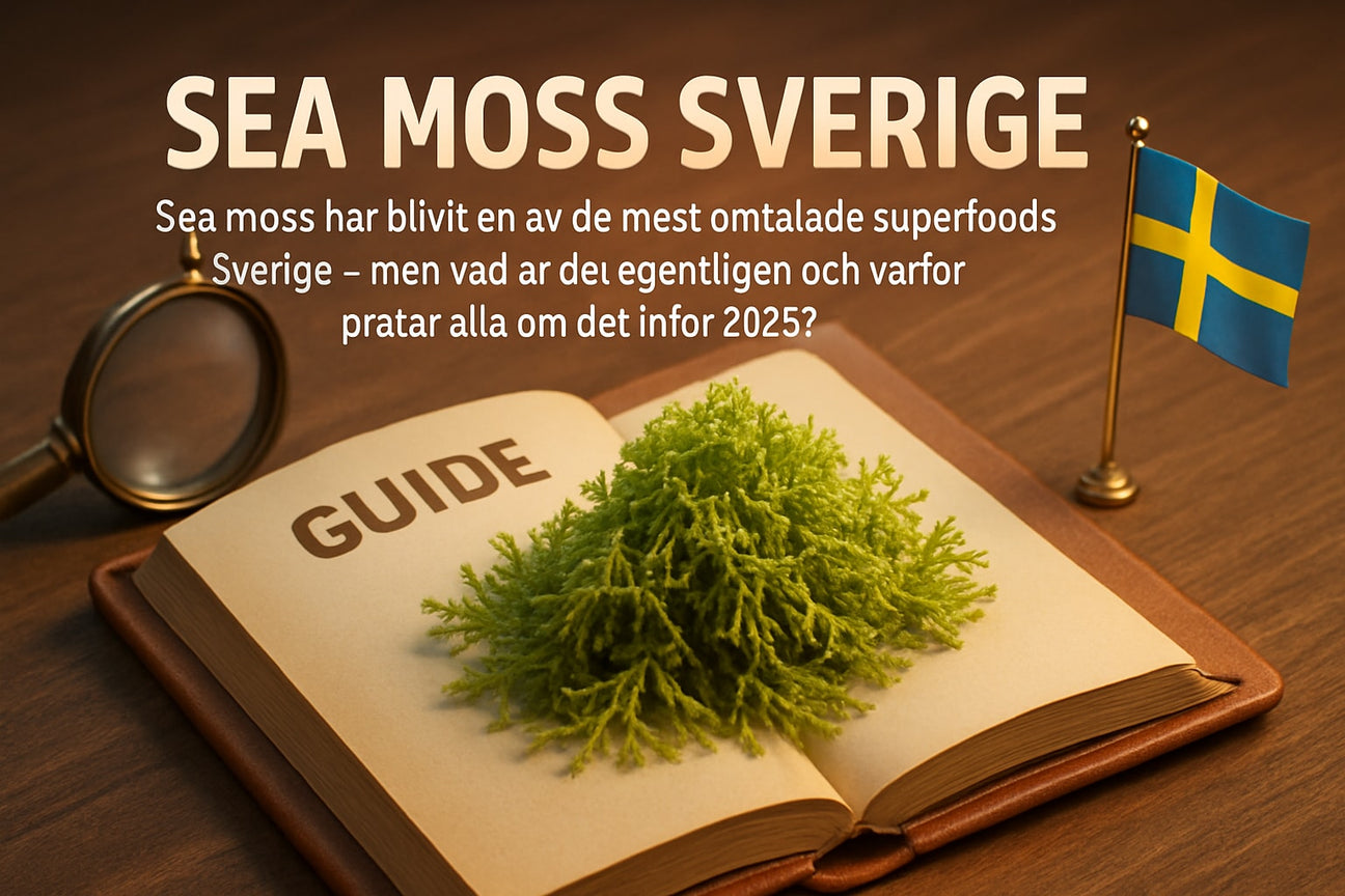 Sea Moss Sverige Guide: Allt Du Behöver Veta 2025