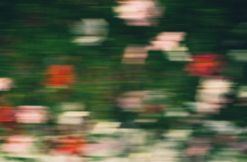 Svampextrakt som tillskott